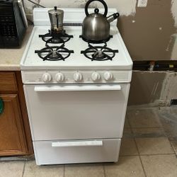 24 In Wide Gas Stove 