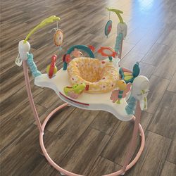 Fisher Price Blooming Fun