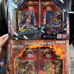 One piece illustration boxes
