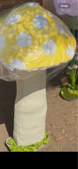 Fairy birthday  ( Rental )