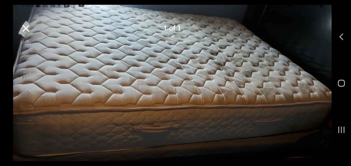 FIRM Queen Sealy Mattress