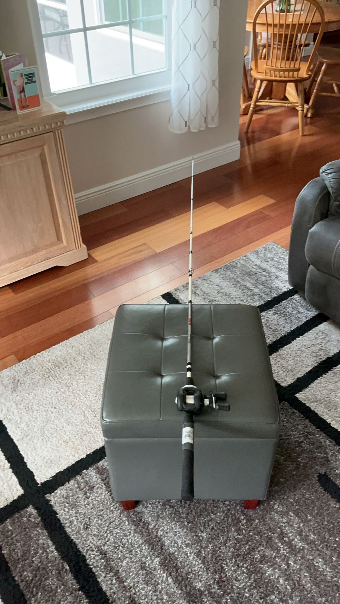 6 ft. Shakespeare Alpha Bait casting Rod and Reel