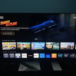 VIZIO TV 
