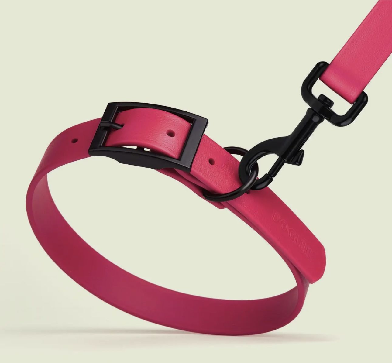 Dog collars and leashes