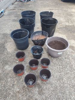 Planters pots lot only 5$ All together