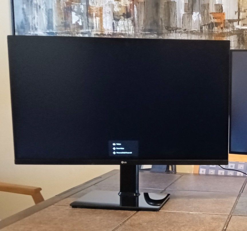 32" Computer Monitor LG 32QN600-B