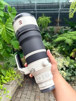 Sony 100-400mm 4.5 GM