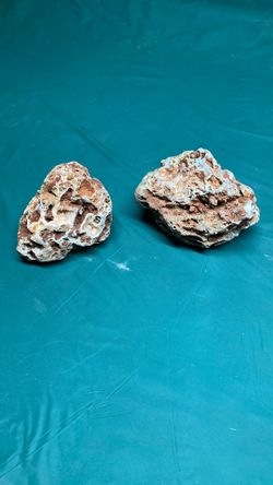 Acquariam Rocks