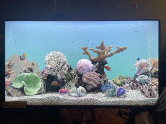 44 Inch Flatt Screen Roku Television With Surround Sound And Internet Connection 