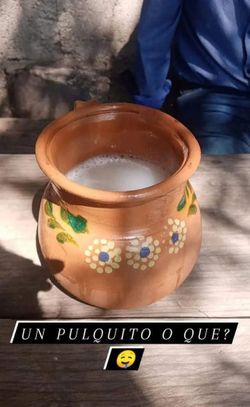 Pulque cara blanca
