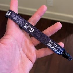 Brain Dead Sound And Furry Concert