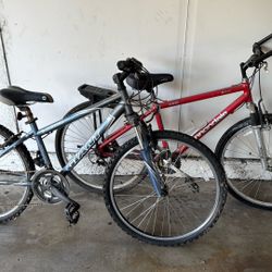 Cannondale And Giant Bike 