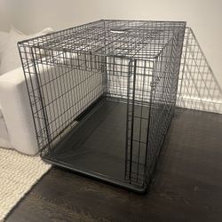 MidWest Large Collapsible Dog Crate