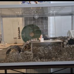 Hamster/Gerbil Cage Kit With Custom Decorations