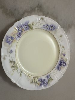 Haviland & Co Limoges vintage hand painted plate