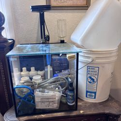 Saltwater Aquarium 