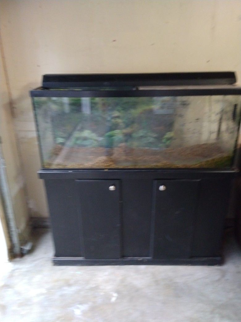 55 Gallon Fish Tank With Stand