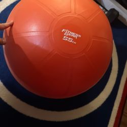 Stability Ball 55 CM