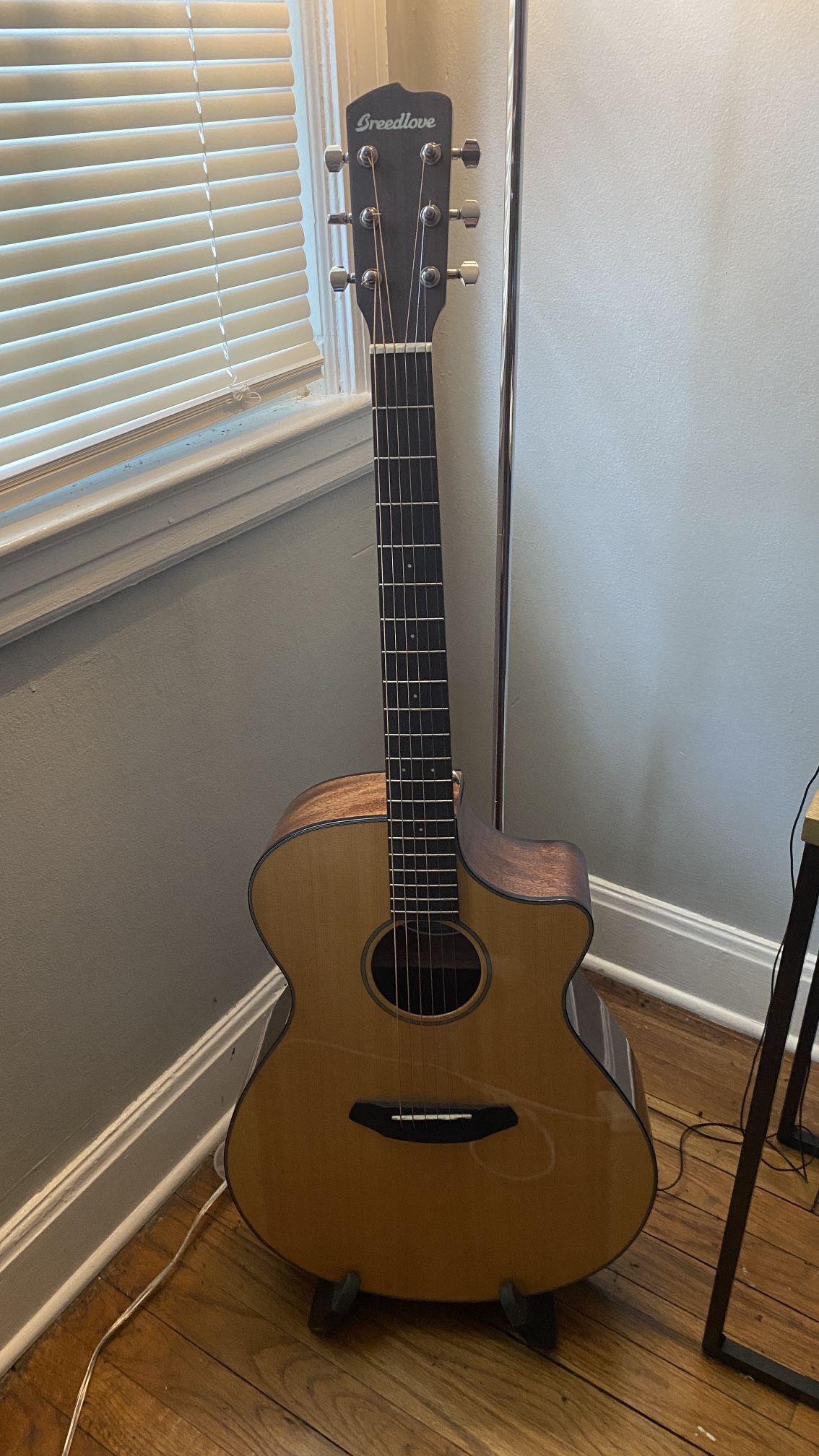 Breedlove Acoustic Electric Guitar