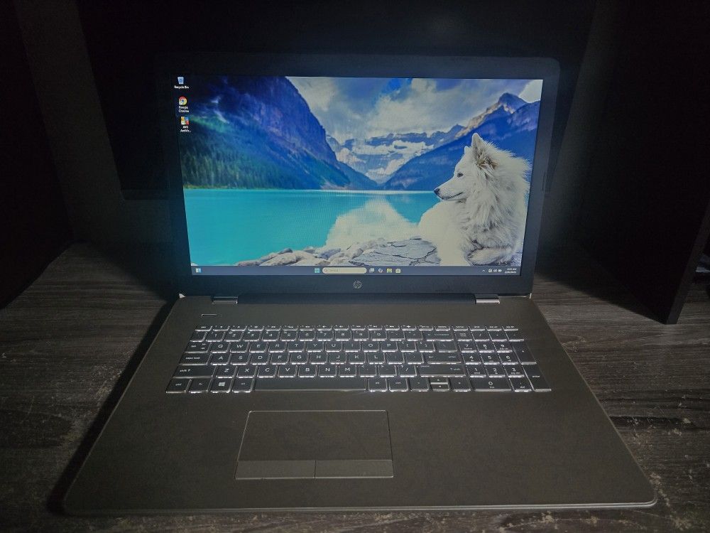 17.3" HP Laptop