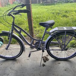 Purple Schwinn Cruiser