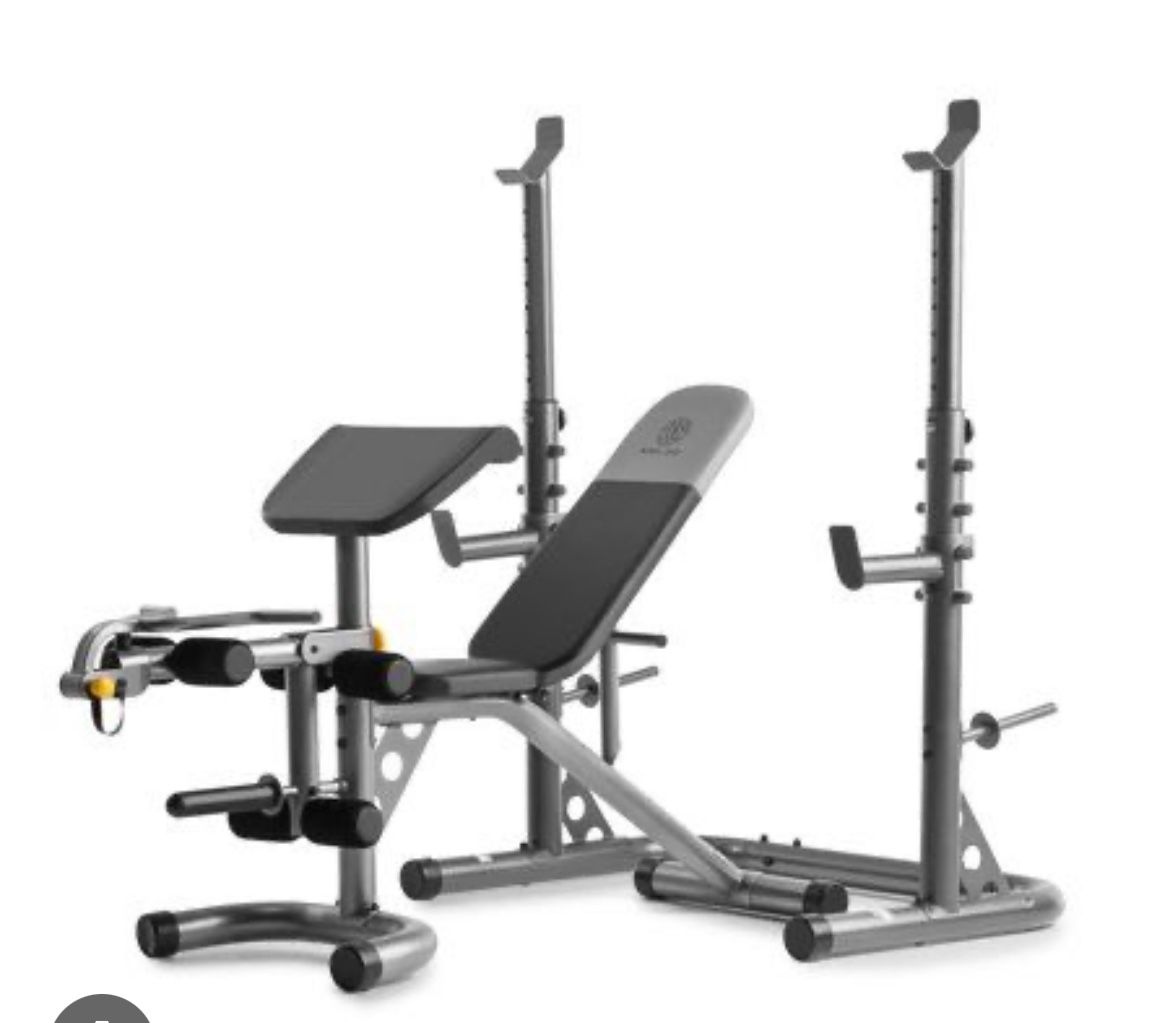 Bench. Squat Rack Leg Extension Hamstring Curl