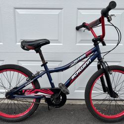 20” Kid Bike