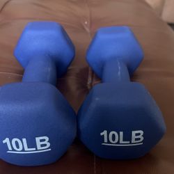 10lbs Dumbbell - Set of 2