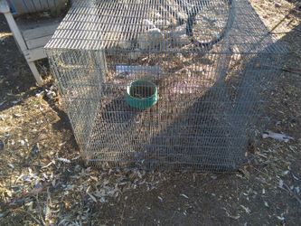 Animal cage