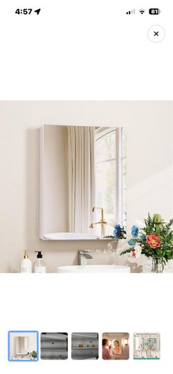 Medicine Cabinet Mirror