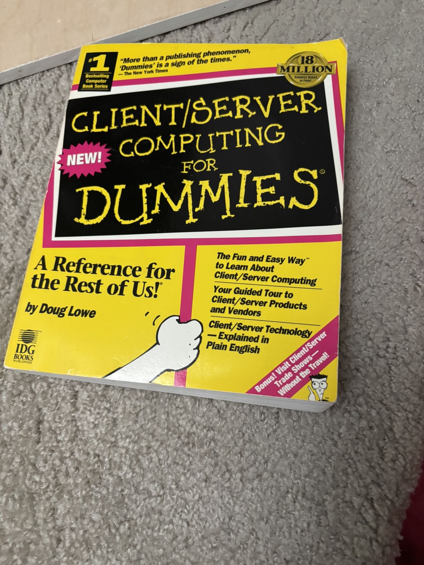 Client/Server Computing for Dummies Paperback