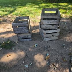 Fruit Crate