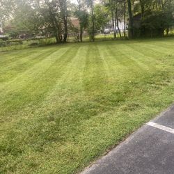 Grass 