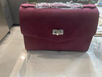 Vanessa Williams hand bag new $100