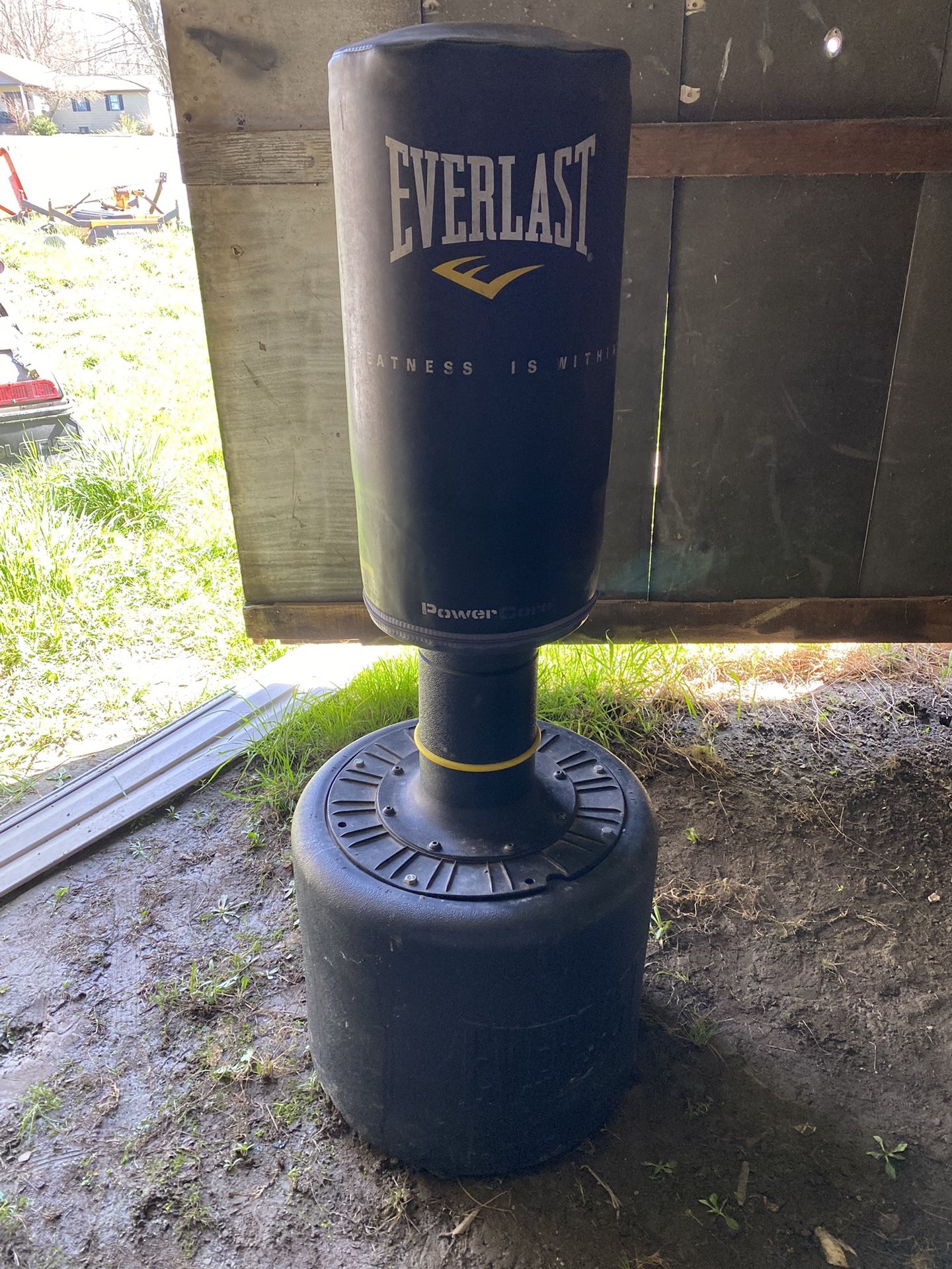 Everlast Punching Bag