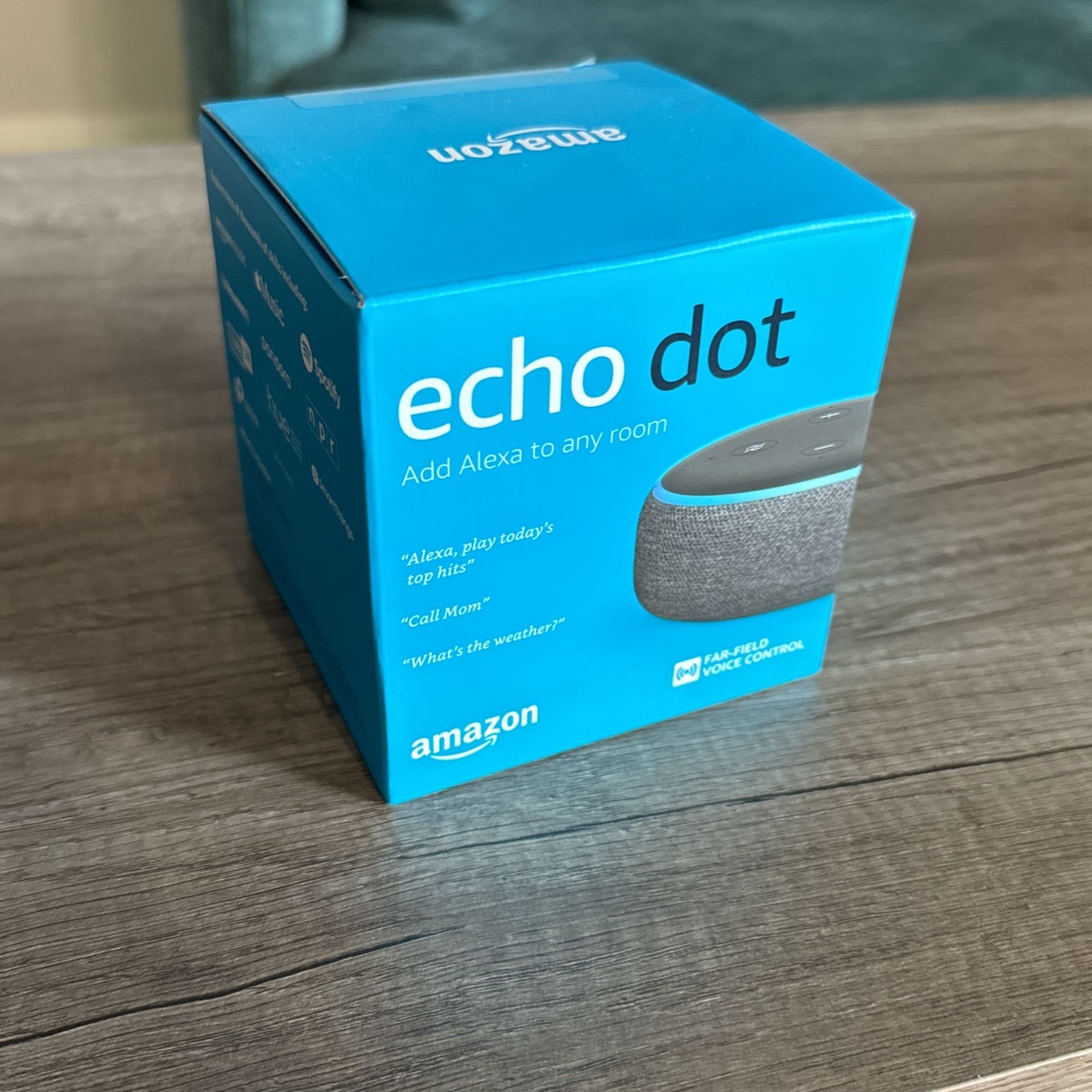 Echo Dot