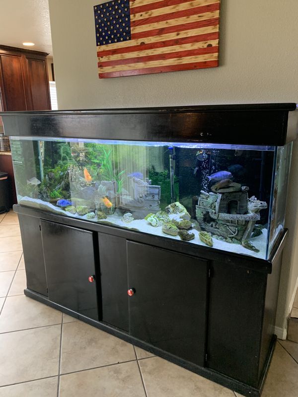 130 gallons fish tank for Sale in Hesperia, CA OfferUp