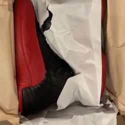 Jordan 12 Flu Game (2025)