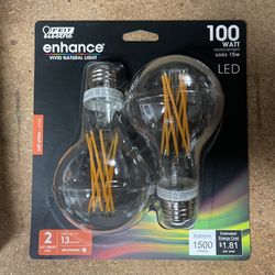 Feit 100W LED bulbs 2 Pack