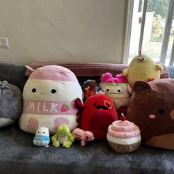 Squishmellows And Plushies 