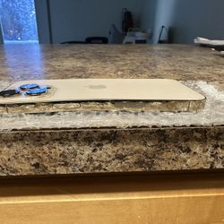 iPhone Pro 13