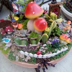 Fairy Gardens/Succulents 