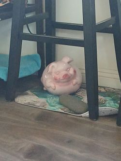 Piggy Bank