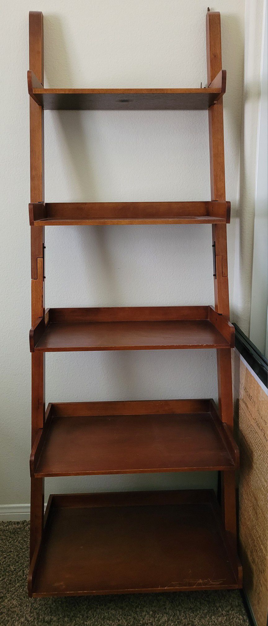 Bookcase Shelf Ladder