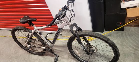 Free bike today