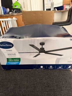 Ceiling fan