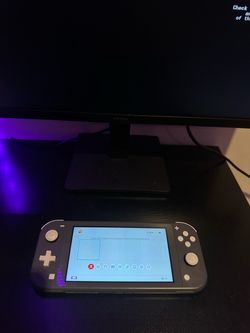Nintendo switch lite