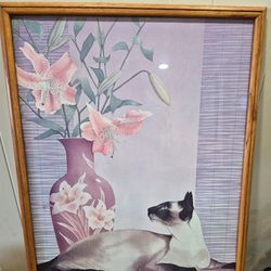 Large Framed Siamese Cat  Picture