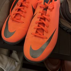Nike Shows Size 13