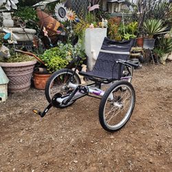 TerraTrike Rover 8 Speed Internal